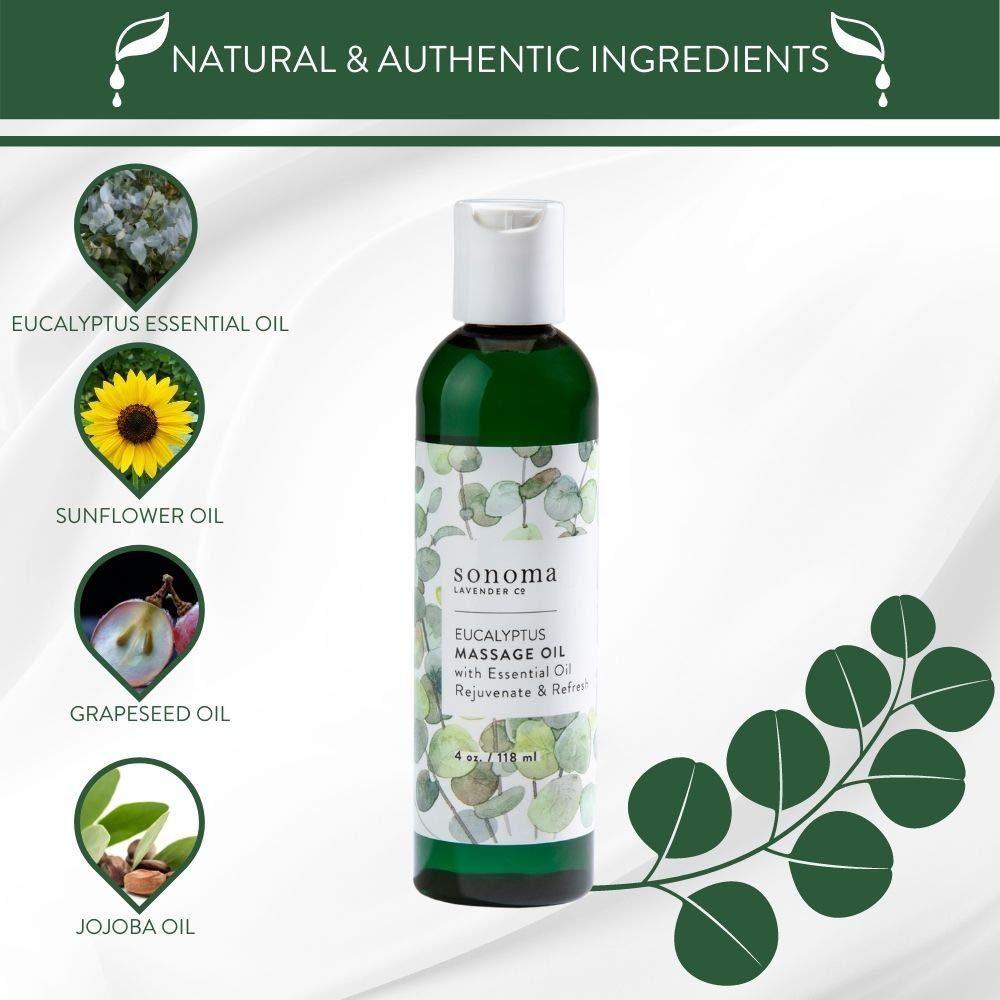 Eucalyptus Massage Oil 4 oz V57551