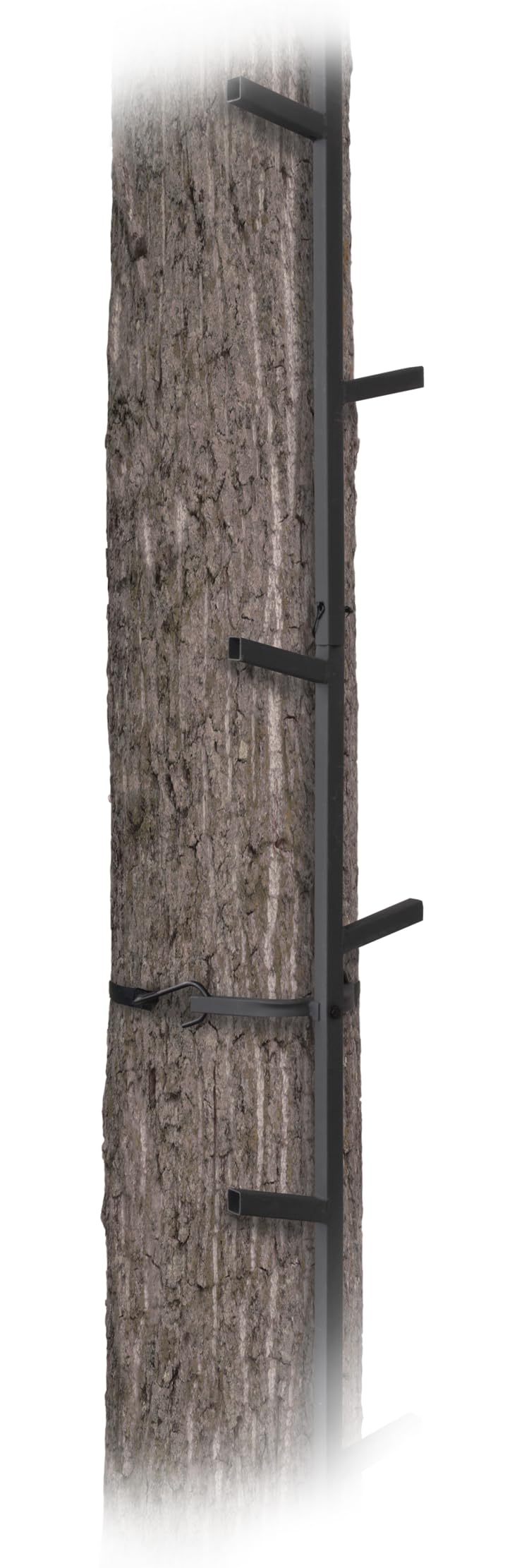 Quick-Stick Climbing System 20ft Reach A99666