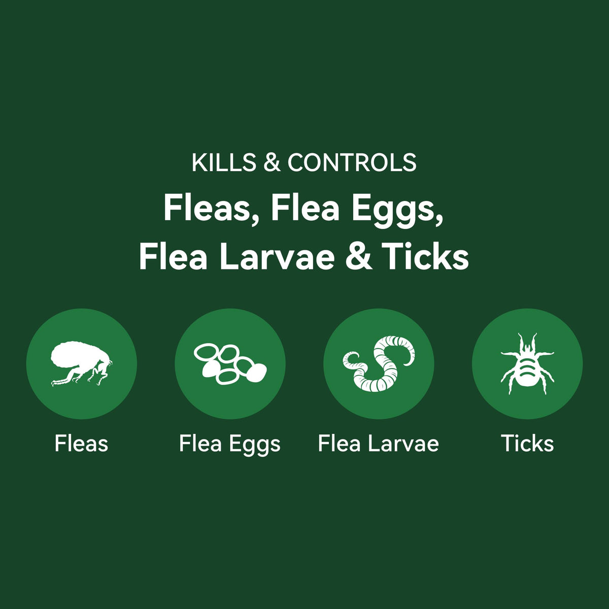 Cat Flea and Tick Treatment 6-Month Supply Q243950