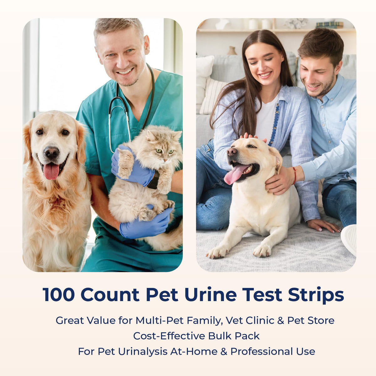 10 Parameter Urinalysis Test Strips 100ct D29696
