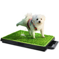Dog Toilet Indoor Puppy Training Pad with Artificial Turf, 25"×20" D5346
