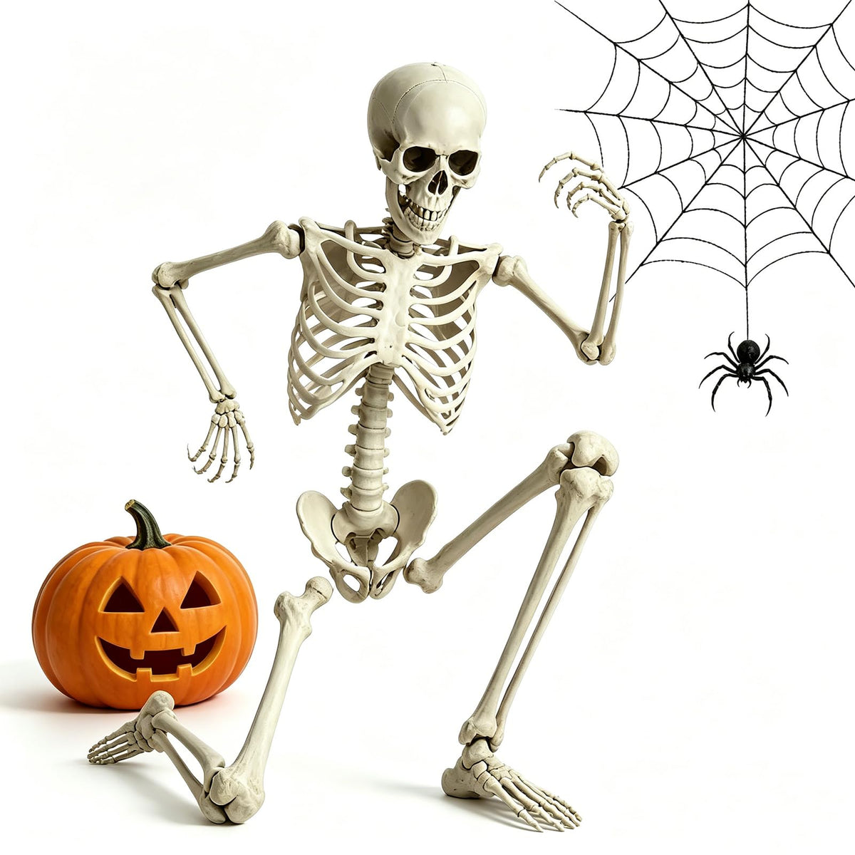 5.4FT Life Size Skeleton with Movable Joints Z3662