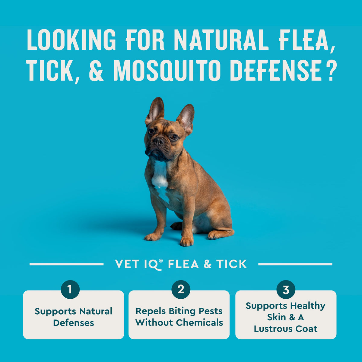 Chemical-Free Soft Chews Flea & Tick Support Dogs 60-Count F323