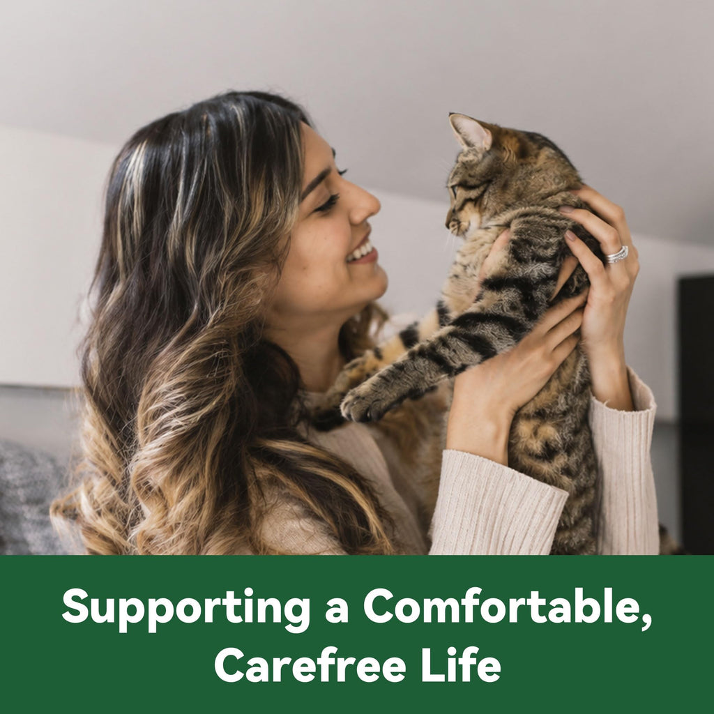 Cat Flea and Tick Treatment 6-Month Supply Q243950