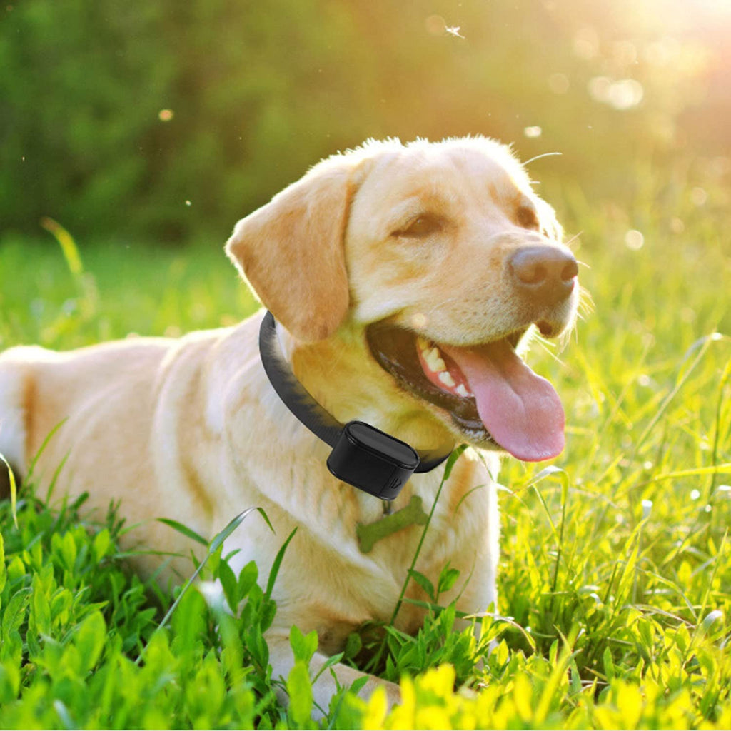 Electric Dog Fence System with 2 Collars V7584