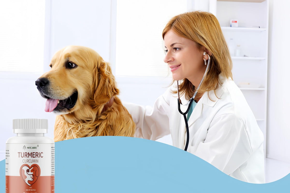 120 Chewable Tablets Turmeric Curcumin Dog Joint Support I9153