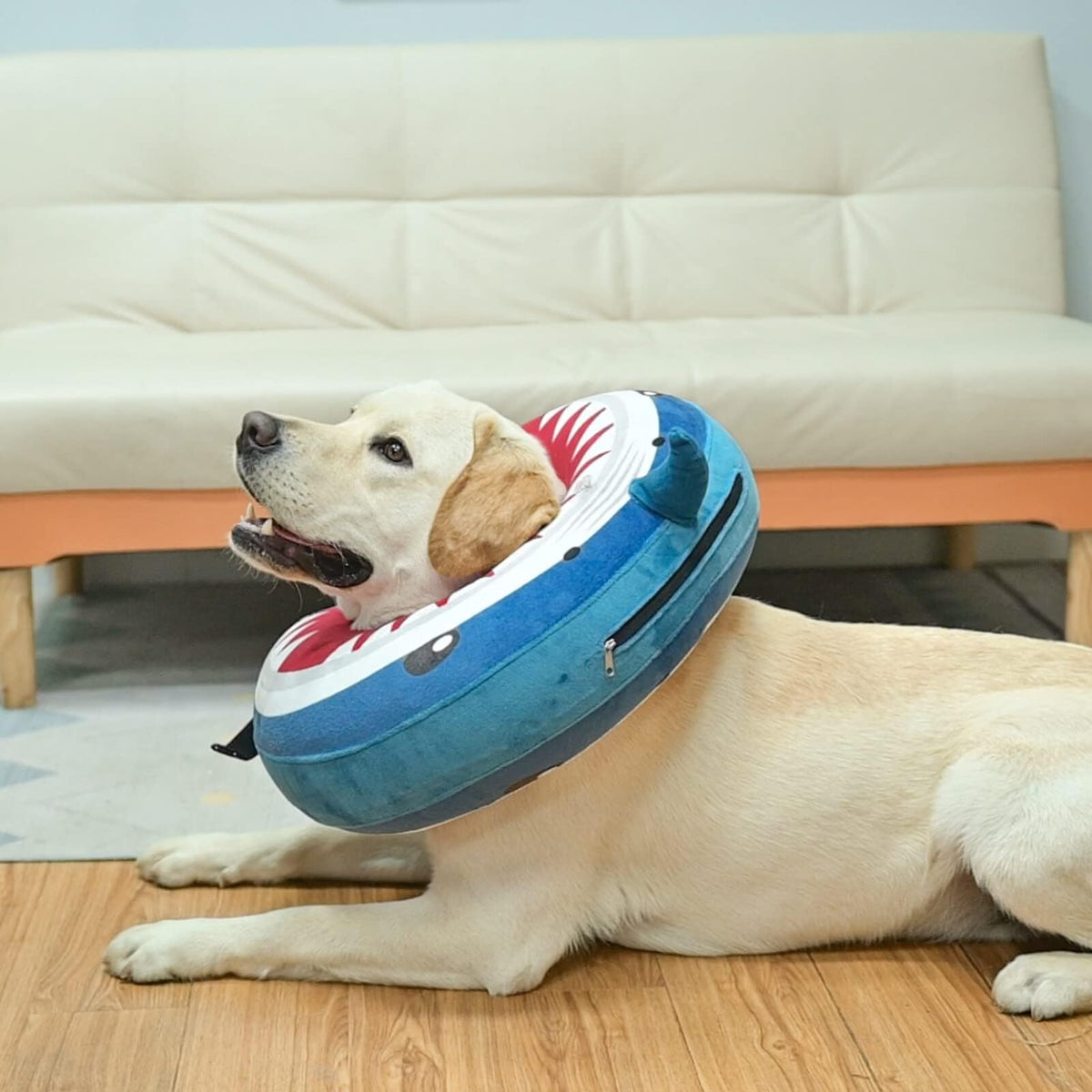 Dog Cone Collar Alternative K66910
