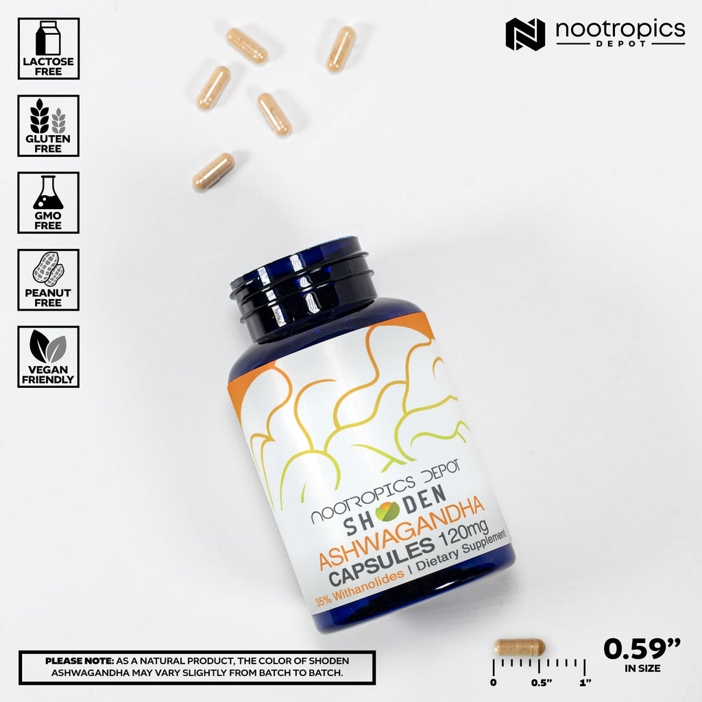 Ashwagandha Extract Capsules 120mg 30 Count P12916