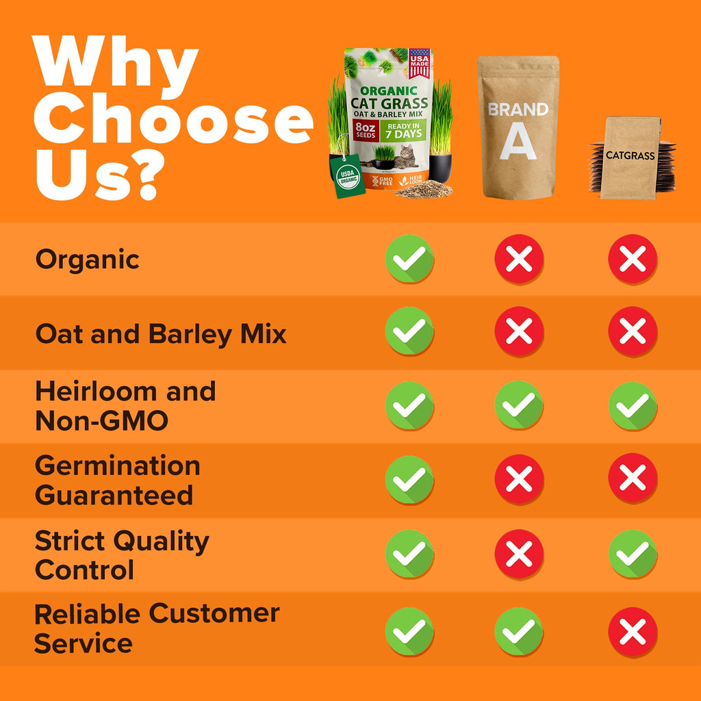 Organic Cat Grass Seeds 8oz Oat & Barley A30466