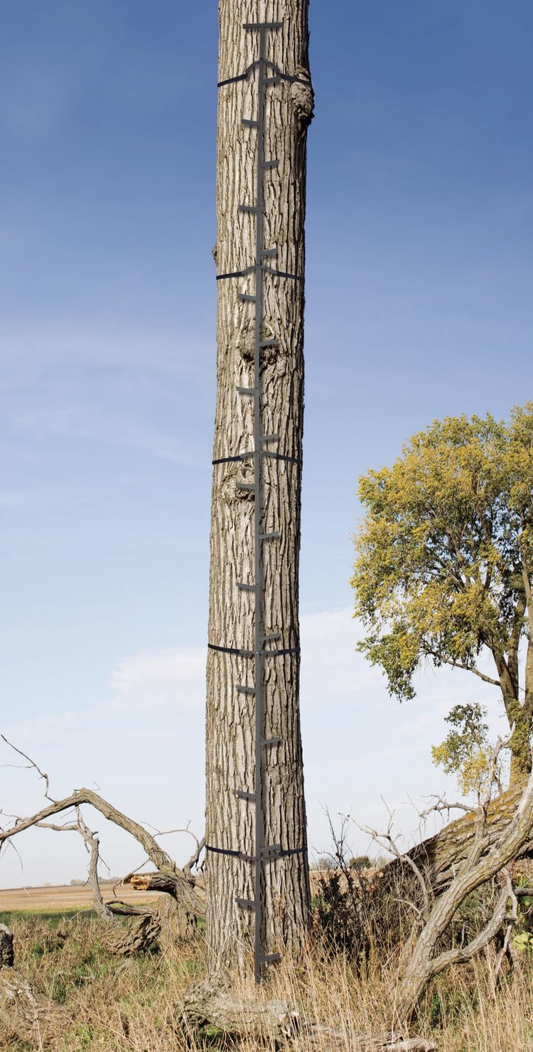 Quick-Stick Climbing System 20ft Reach A99666