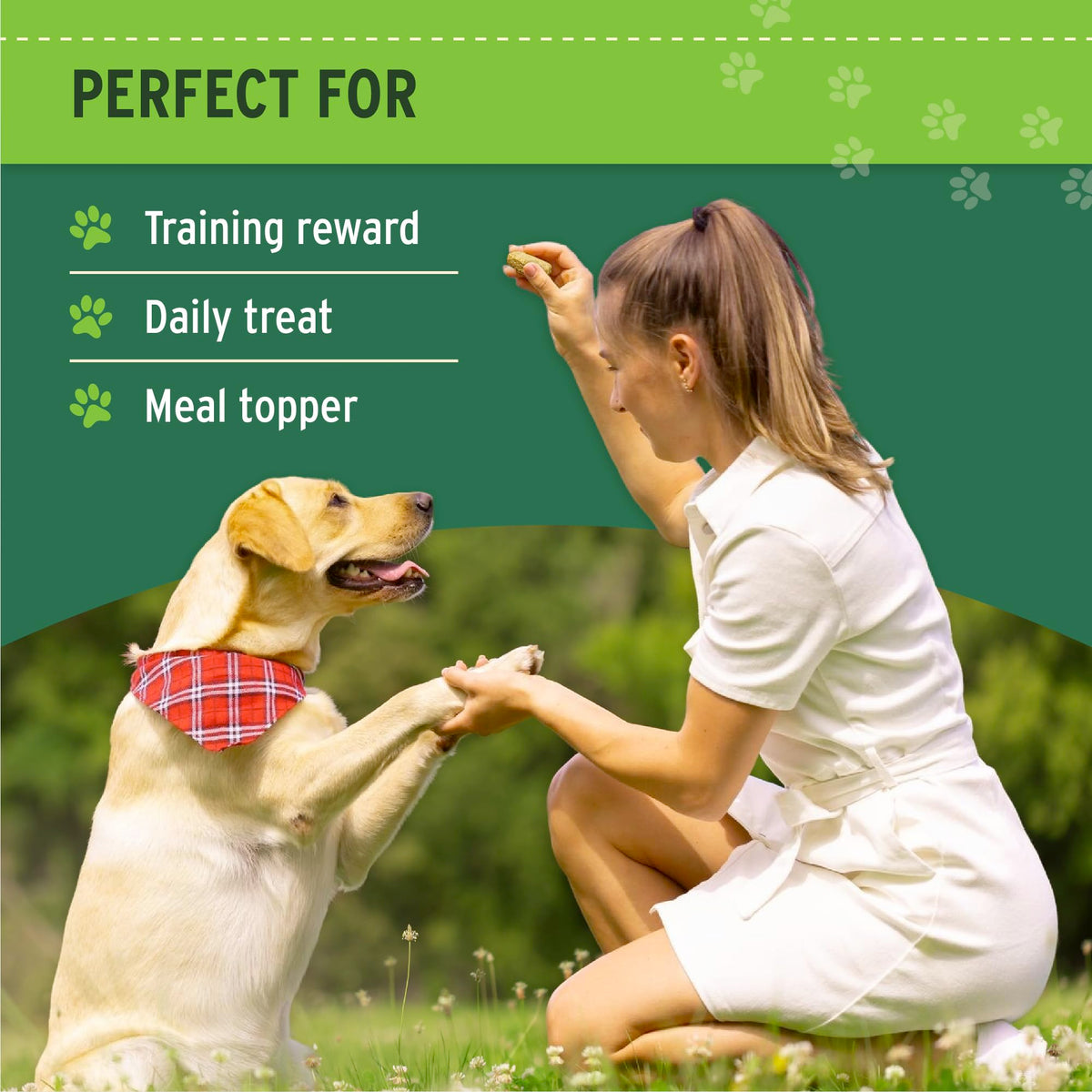 Freeze Dried Beef Liver Dog & Cat Treats R6057