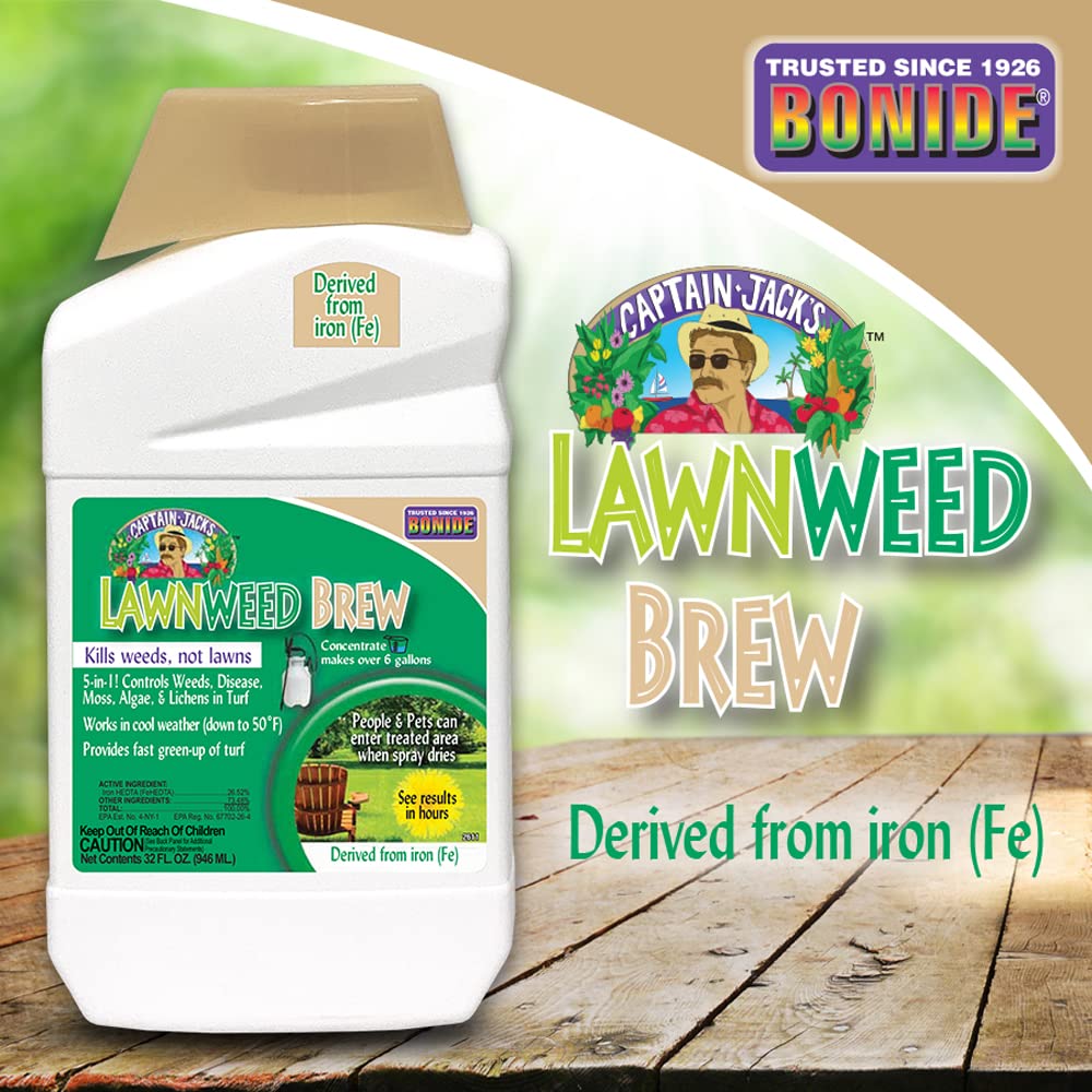 32 oz Concentrate Weed Moss Algae Control V31505