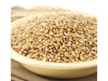 Hard Wheat Berries 50-Pound W34784