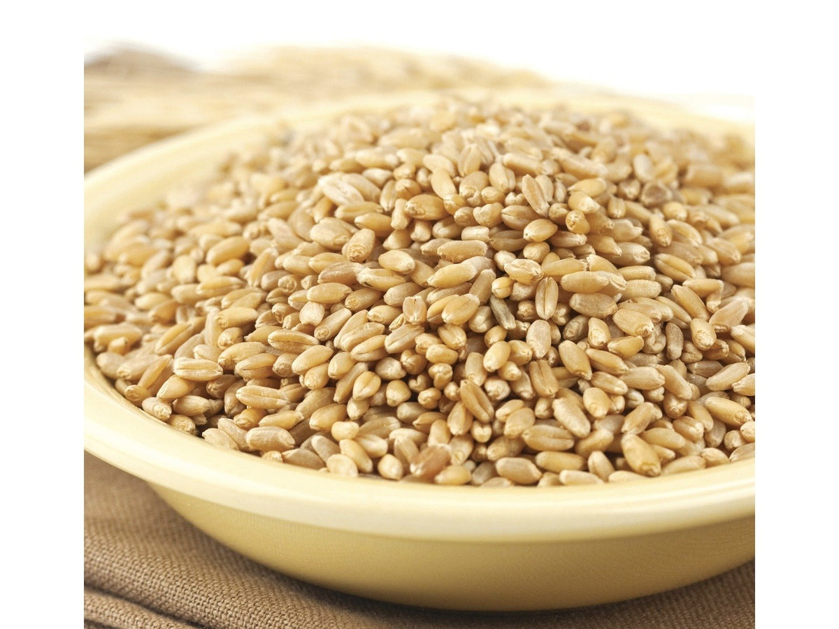 Hard Wheat Berries 50-Pound W34784