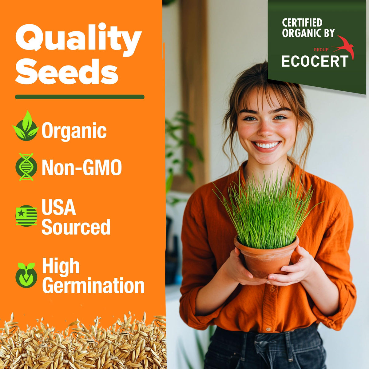 Organic Cat Grass Seeds 8oz Oat & Barley A30466
