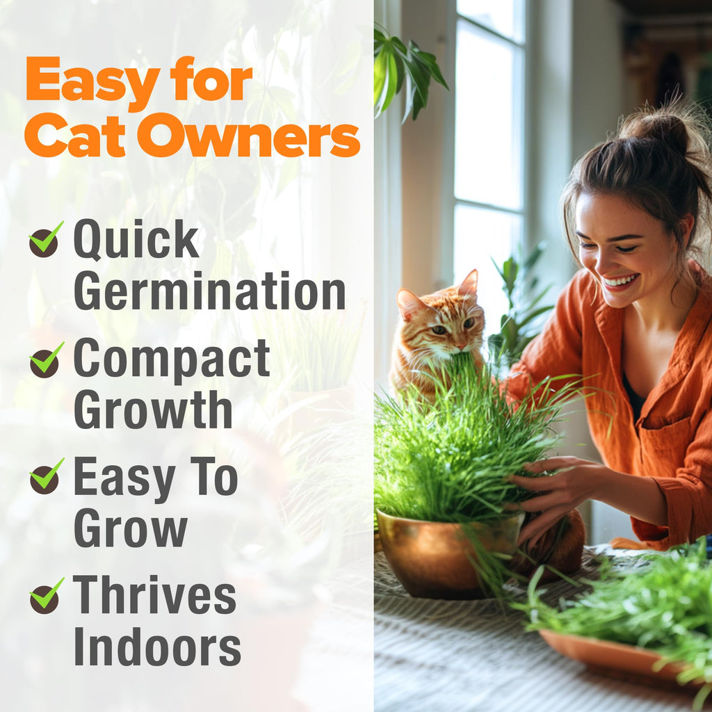 Organic Cat Grass Seeds 8oz Oat & Barley A30466