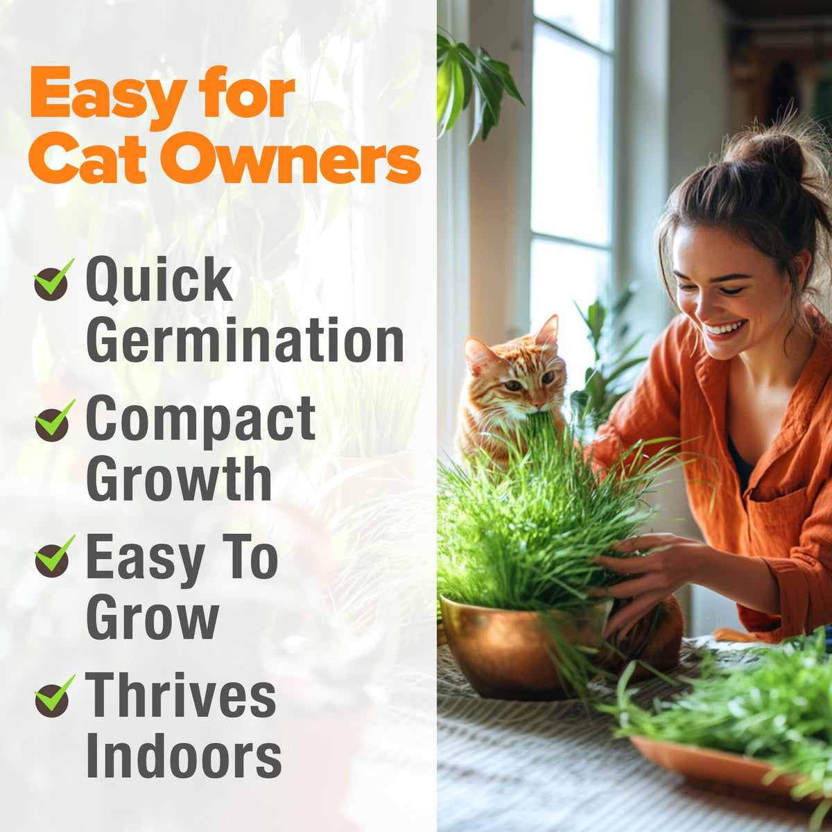 Organic Cat Grass Seeds 8oz Oat & Barley A30466