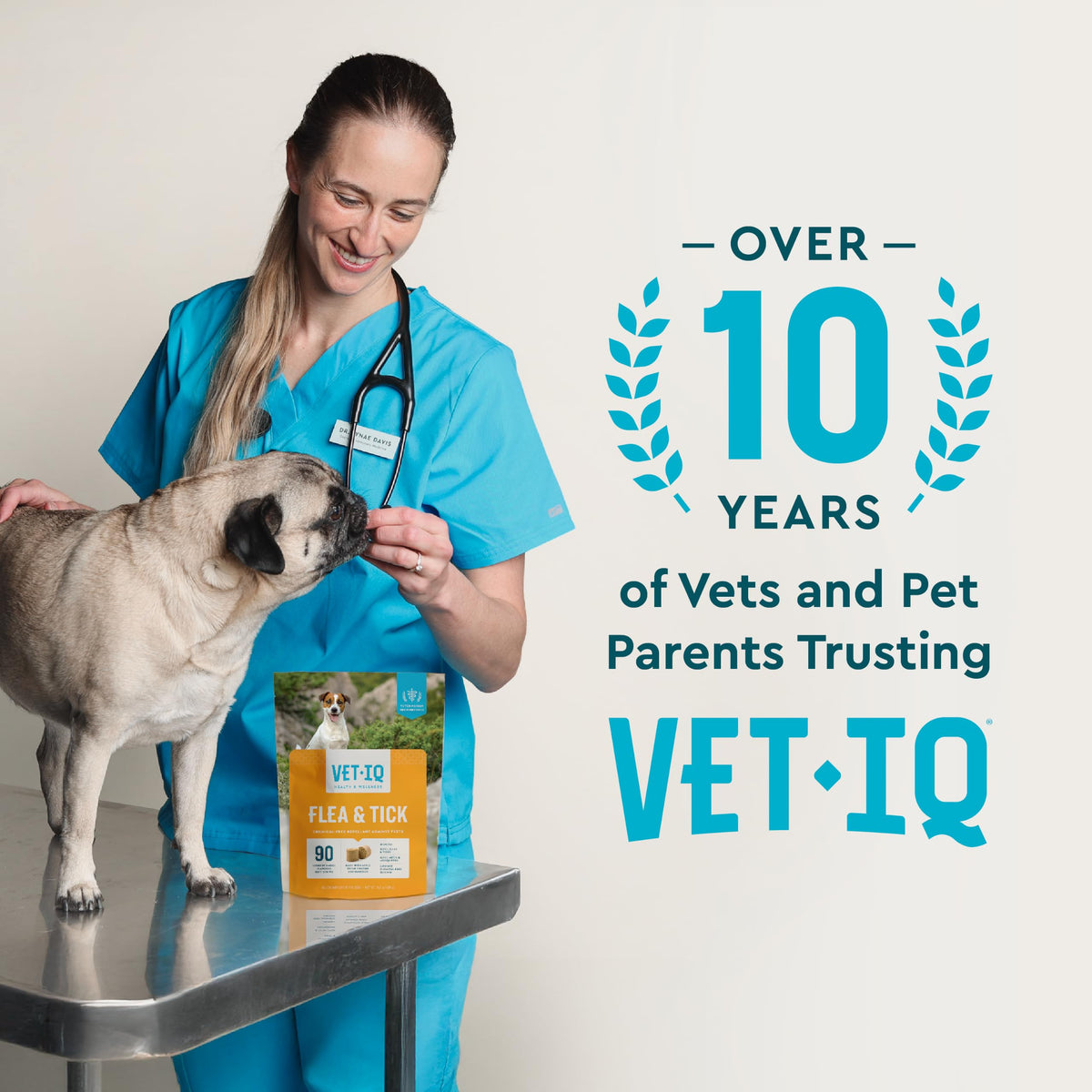 Chemical-Free Soft Chews Flea & Tick Support Dogs 60-Count F323