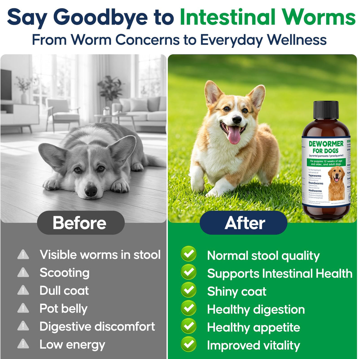Dog Wormer Oral Liquid Treatment 100ml U107