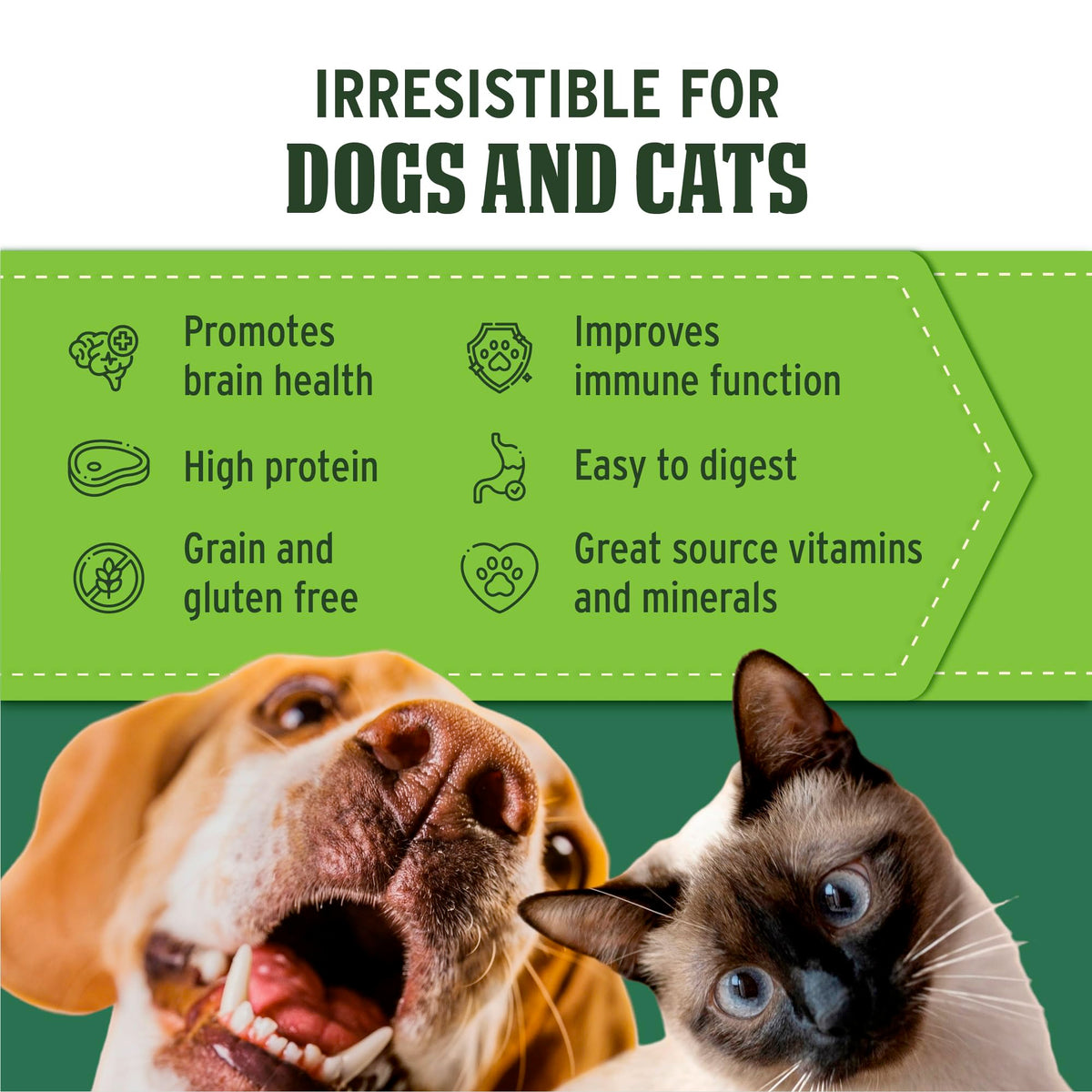 Freeze Dried Beef Liver Dog & Cat Treats R6057