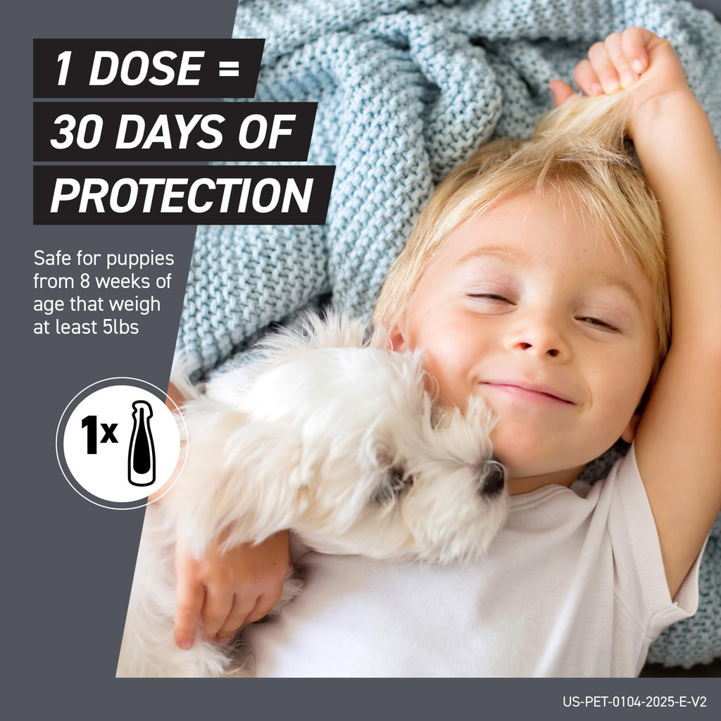 Flea & Tick Treatment for Small Dogs 11-20 lbs, Count of 3 W470445