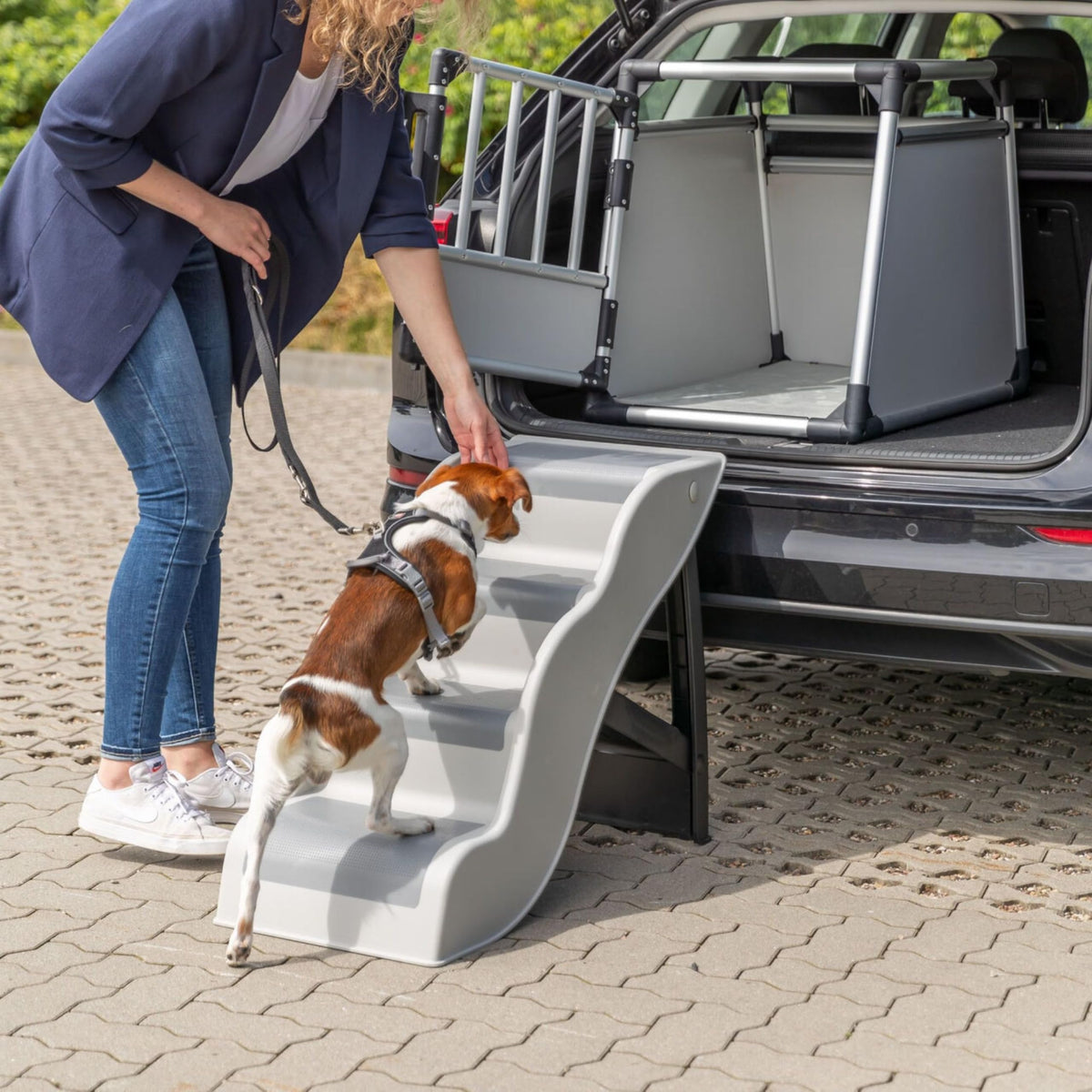 Lightweight 4-Step Pet Stairs G32958