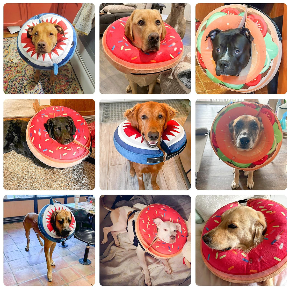 Dog Cone Collar Alternative K66910