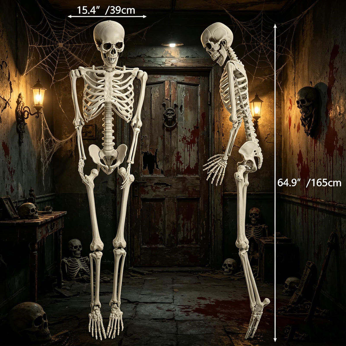 5.4FT Life Size Skeleton with Movable Joints Z3662