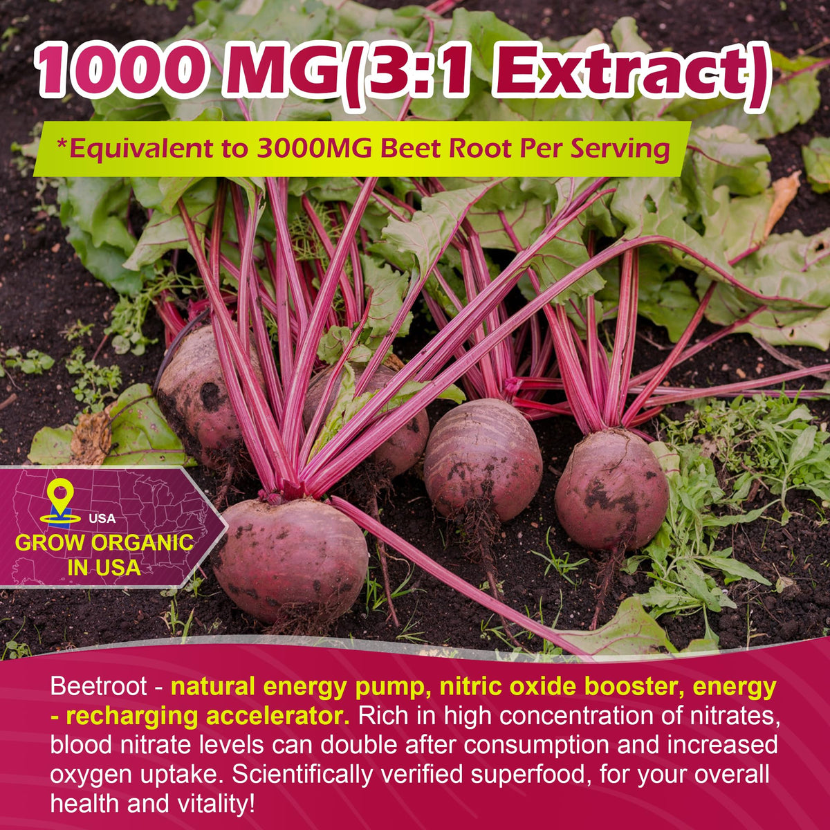 Beet Root Gummies with L-Citrulline & L-Arginine, Sugar Free B385